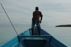 A Caminho IMG_5305 (FILEminimizer)