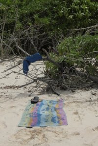 Poiso IMG_5356 (FILEminimizer)