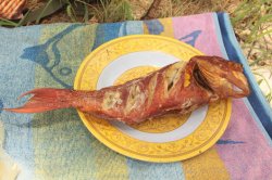 O Almoço IMG_5366 (FILEminimizer)