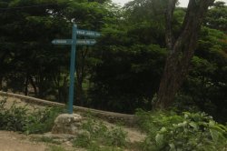 IMG_5405 (FILEminimizer)