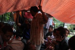 À Pinha IMG_5428 (FILEminimizer)