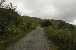 A Estrada IMG_5432 (FILEminimizer)