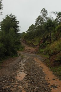 A Estrada Continua IMG_5462 (FILEminimizer)