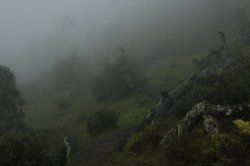 Na Bruma IMG_5494 (FILEminimizer)