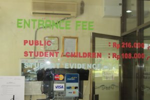 IMG_5711 (FILEminimizer)