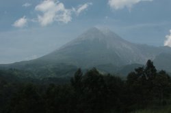 IMG_5861 (FILEminimizer)