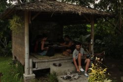 IMG_5864 (FILEminimizer)