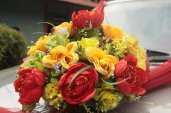 Rosas IMG_0025 (FILEminimizer)