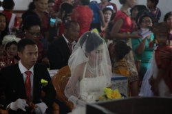 Nervos IMG_0052 (FILEminimizer)