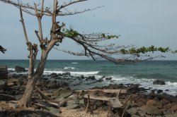 IMG_6236 (FILEminimizer)