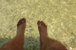 IMG_6426 (FILEminimizer)