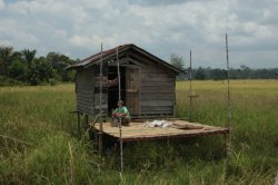 IMG_6615 (FILEminimizer)