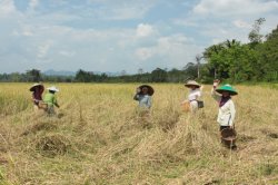 IMG_6685 (FILEminimizer)