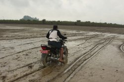 IMG_6806 (FILEminimizer)