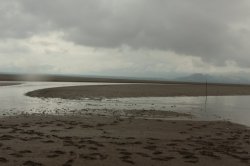 IMG_6841 (FILEminimizer)