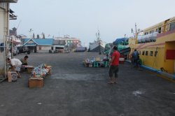 IMG_7018 (FILEminimizer)