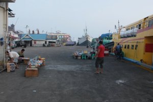 IMG_7018 (FILEminimizer)