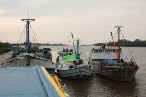 IMG_7025 (FILEminimizer)