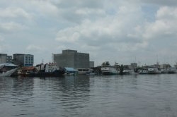 IMG_7056 (FILEminimizer)