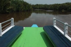 IMG_7068 (FILEminimizer)