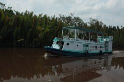 IMG_7072 (FILEminimizer)