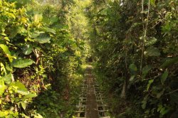 IMG_7090 (FILEminimizer)