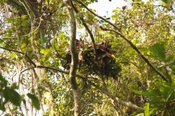 IMG_7096 (FILEminimizer)