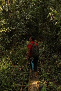 IMG_7099 (FILEminimizer)