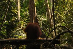 IMG_7111 (FILEminimizer)