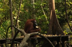 IMG_7115 (FILEminimizer)