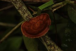 IMG_7136 (FILEminimizer)