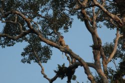 IMG_7156 (FILEminimizer)