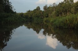 IMG_7171 (FILEminimizer)