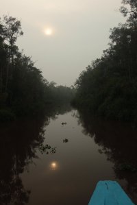 IMG_7260 (FILEminimizer)