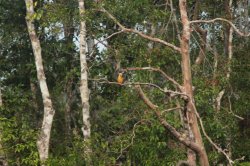 IMG_7284 (FILEminimizer)