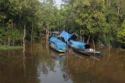 IMG_7320 (FILEminimizer)