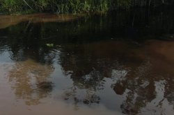 IMG_7324 (FILEminimizer)