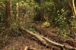 IMG_7360 (FILEminimizer)