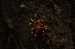 IMG_7366 (FILEminimizer)