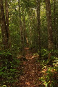 IMG_7399 (FILEminimizer)