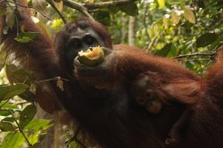 IMG_7418 (FILEminimizer)