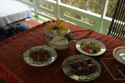 IMG_7432 (FILEminimizer)