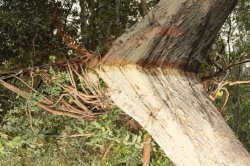 IMG_7435 (FILEminimizer)