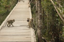 IMG_7440 (FILEminimizer)