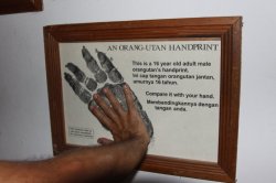 IMG_7448 (FILEminimizer)