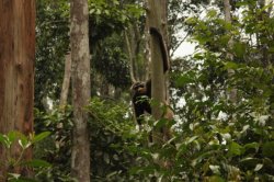 IMG_7470 (FILEminimizer)