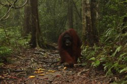 IMG_7494 (FILEminimizer)