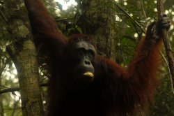 IMG_7509 (FILEminimizer)