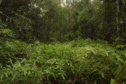 IMG_7514 (FILEminimizer)