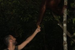 IMG_7538 (FILEminimizer)